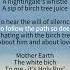 MATUSHKA ULTRAFUNK English Lyrics Subtitles LyricsBoy A Russian Matushka