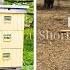 NO BEES Meghan Markle Called Out For COPYING Crown Princess Victoria S Beekeeping With Kids