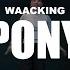 The Learning Process Feat Tim Deluxe PONY WAACKING CLASS 250331 포니 왁킹 클래스 Sugardancestudio