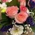 Flowers Flower Gullar Cute