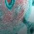 Major Updates Over Coronavirus From Delhi And Mumbai ABP News