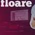 Mihai Falca Iubirea E O Floare