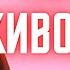 НОРКА ЖИВОДЁРКА