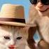 Monkey And Kitten Playing With Crabs Short Monkey Kitten Viral