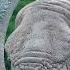 Colorado Court Says Elephants Can T Seek Freedom Firstpost America Subscribe To Firstpost N18G