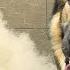 This Grooming Session Is Now A Federal Case Shepherd Malamute