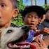 Dikejar Anjing Galak Anjing