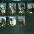 Game Of Sultans Getting Pet Harp Seal 2022