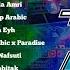 Trap Sholawat Arabic Full Album Terbaru 2024 By Jember Discjokey