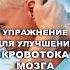 Улучшаем кровоток головного мозга в домашних условиях шишонин доктор