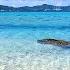 A Beautiful Beach In Bora Bora