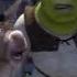 Team Avatar Rap But It S Shrek