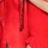 Mummykassam Coolie No 1 Varun D Sara Ali Khan Udit N Ikka Monali Manu Status Creation