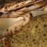 Aquatic Insects Voracious Predators Architects And Environmental Indicators
