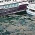 Sea Snot Clogs Up Turkey S Marmara Sea