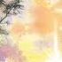 The Way Of Hemi Sync Experience Brain Synchronization With Robert Monroe Hemisync Binaural