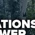 Consumers Energy Customers Voice Frustration Amid Power Restoration Delays
