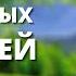 Причина 120 самых популярных заболеваний Кирилл Прищенко