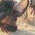 Fascinating Dance And Colorful Display Of Turkey Birds The Beauty Of Nature Turkeyhunting Wildlife