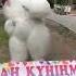 Туган кун
