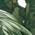 Jormungand OST 18 Alligator HD