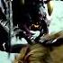 Giant Ant Vs Lion Giant Monsters Movie Clup