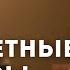 Безответные вопросы ответы на вопросы слушателей Академии Виталия Сундакова