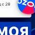 Аналитика рекламы Ozon как настроить эффективно и не уйти в минус