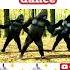 Check Out This Crazy Punjabi Dancing Gorillas Video Official India