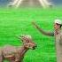 Ummi Lnna Shorts Islamicshorts Trending Animals Shortsfeed
