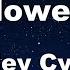 Karaoke Flowers Miley Cyrus No Guide Melody Instrumental Lyric