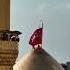 Mera Islam Rahega Imamhussain Shorts
