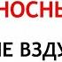 21 марта День Вербоносица Что нельзя делать 21 марта Народные Приметы и Традиции Дня