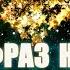 108 Фраз На Любовь К Себе Самые Лучшие 108 Аффирмации На Принятие Себя Измените Жизнь К Лучшему