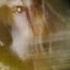 Bibio Curls Official Video