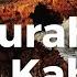 Quran Surah Al Kahf Muhammad Al Faqih Quran Alfaqih