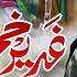 Eid E Ghadeer Manqabat 2025 Hammad Nagri Ghadeer E Khum Mola Ali Qasida 2025 Ay Malango