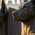 5 Commandments For Owning A Doberman Break One Regret It