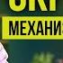 Я схожу с ума от ревности ревность имеет бессознательную причину Вот её корни
