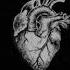 Trend Music Like Love Subscribe Video Bu Yurak Seni Izlar Hamon