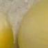 Egg Osmosis Hypertonic Vs Hypotonic Solution