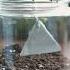 DIY Terrarium Create Your Own Miniature Eco Paradise Terrarium DIYHomeDecor SustainableLiving