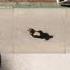 Why Do People Commit Suicide