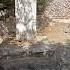 SHRINE OF NYMPHE HIDDEN LOCATION I FOUND
