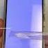 Samsung S21 Screen Shorts Android Samsung Asmr Iphone Ios Apple S21 Repair Fix