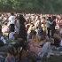 Some Roots Picnic Attendees Say They Waited Hours To Get Into Day 1 Of The Music Festival