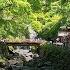 A Walk Inside The Japanese Park Osaka Minoh Waterfall The Spring Foliage