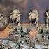 All Of The Astra Militarum Models I Completed In 2023 Warhammer Astramilitarum Cadia Painting