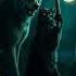 Fat Yellow Cat Hunts A Haunted Werewolf In Creepy Forest Horror Animation Short Shorts
