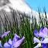 12 Hours Relaxing Music Sleep Music Relaxing Piano Music Stress Relief Study Music Helen